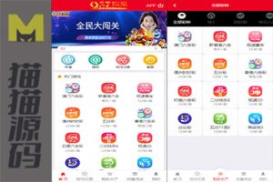 957娱乐大富彩票源码/WAP、PC端/录制了视频教程的版本