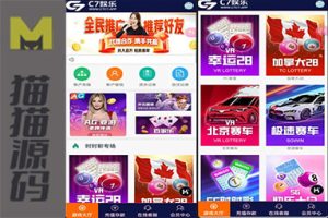 幸运28源码+番摊玩法多彩种+NG接口+USDT支付全系统源码