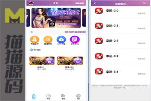 南宫幸运28源码的二次开发版本保留了两种玩法