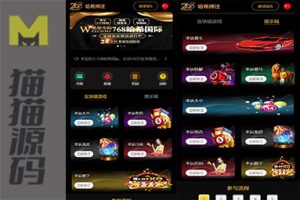 黑桃8最新版本区块哈希竞猜代码，哈希值游戏包含28种游戏及USDT游戏，区块链游戏的完整教程