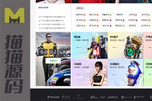 乐娱大富二全新UI版本/仿制双赢迪士尼/权限管理简易/六合彩自动结算/更新修复版