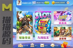 网狐系列飞米游戏[包含街机王][配有控制端]