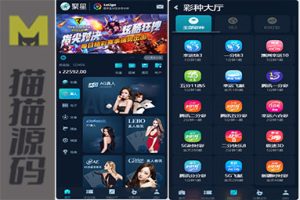 完整大富聚星能够进行NG接口的二次开发、修复以及改版，适用于SG系列彩和360五分等新版采集