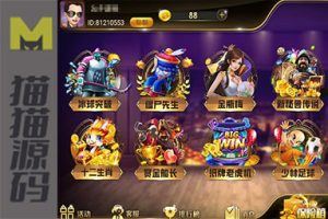 网狐系列大玩家电玩与网狐电玩棋牌【包含最新解密工具】