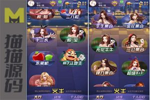 新版H5短链接火牛火狐大厅源码，完美运营版及搭建指南