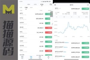 高仿imtoken钱包/获取助记词/获取私钥/自动采集