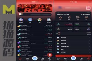 TRON区块链的AI机器人投资理财源码，以及TRON投资源码的内容