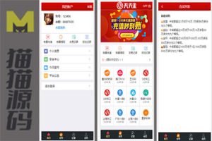 大富二次开发新增的合买玩法中加入了机器人自动发单功能