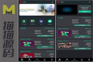 海外沙特虚拟币投资理财源码