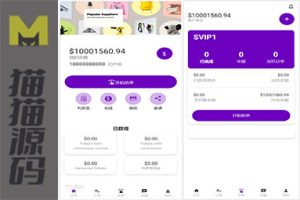 36种多语言刷单系统源码+海外抢单源码出海项目+跨境电商刷单源码