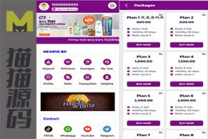 国外超市共享投资理财源码