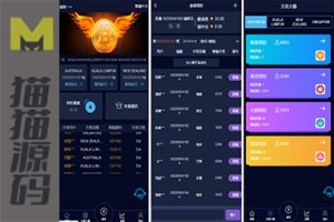 全新vue版28游戏源码+伪交易所系统+游客试玩+自带客服系统
