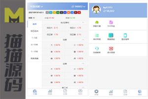 全新版本的SG138信用游戏|仿制双赢迪士尼系统|包含预设结果|完全开放源代码|附带搭建指南