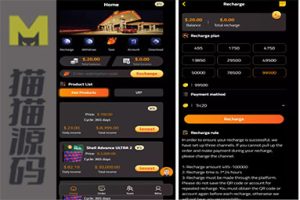 荷兰皇家壳牌理财投资源码