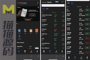 全开源项目，前端使用Vue，后端使用Java，涉及印度股票