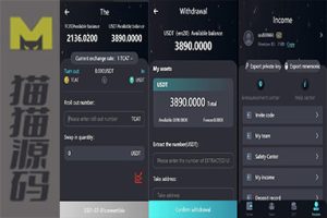 新版H5打包版双语言虚拟系统 USDT支付
