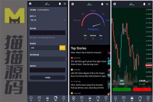 国外区块链代码/交易投资理财系统代码