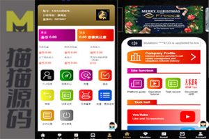 任务点赞平台/TIKTOK Facebook 任务系统/金币兑换功能/前端 VUE 编译后的源码