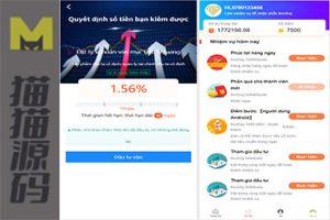 二次开发的越南语投资理财代码/金融理财众筹项目/早起打卡程序/运动打卡系统