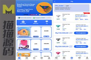 海外订单平台源码下载，包括利息宝、理财活动、商城、大转盘活动和派单功能