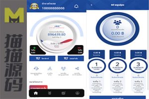 泰文医疗投资平台/医疗投资理财系统/包含裂变功能/带客服系统