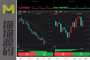 外汇小额交易平台/投资与理财代码/现货交易平台/涨跌投资代码