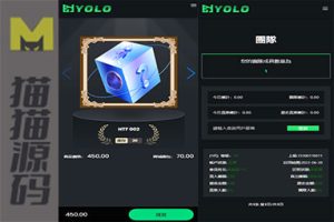 双语言的web3.0《静态投资、动态投资》理财系统，包括钱包抢单市场的源码，适用于usdt与NFT理财