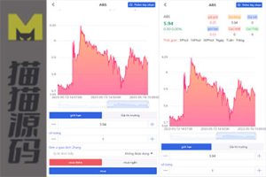 越南股市系统/海外股票基金投资系统/股票投资购买代码