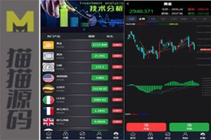 货币金属微交易平台/虚拟货币外汇小额交易/时间交易系统