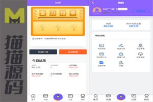 抢单系统代码/刷单系统/订单配对系统/增加连续订单设置
