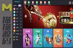 全新二次开发的四种语言，适合进入越南市场