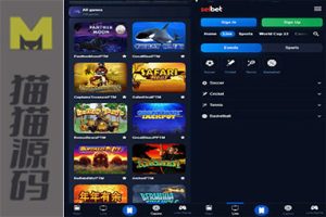 海外游戏代码/文本构建指南/竞猜游戏