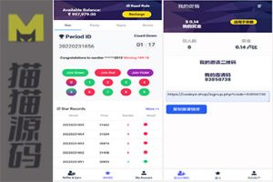 印度海外红绿灯游戏源码