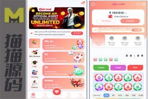 海外投注游戏/快3游戏/下注竞猜游戏/控制开奖/USDT支付及搭建指南