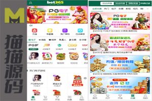 最新菠菜+综合盘bet365体育模板、带本地彩票、运营级别源代码、前端VUE后端php、真人电子综合娱乐盘