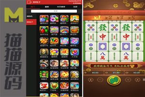 永利皇宫最新大富 二开美化 全新UI 接口游戏可增加 综合源码/安装教程/采集修复