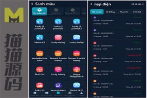 大富聚星二开4语言cp系统源码，包含纯越南语言的ssc源码，以及越南ssc游戏的全面开源和开奖控制功能