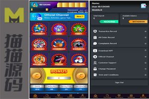 印度本地9款主流游戏本地玩法源码+预设可控