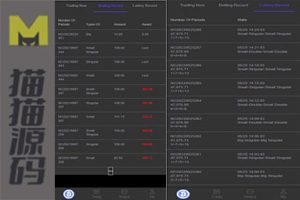 黑色UI游戏竞猜系统源码+虚拟币大小单双竞猜下注+USDT充值