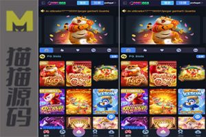 巴西pg电子、海外游戏源码、海外老虎机游戏