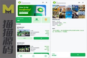 独特的国际英语语言新能源产业的加油站能源投资理财系统