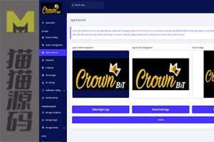 国际投资理财平台/理财投资收益系统