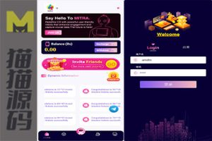 国外的CMS投资理财系统源代码，AI金融源代码，完整且开源