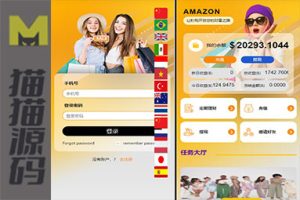 新版UI多语言亚马逊刷单系统/海外抢单刷单