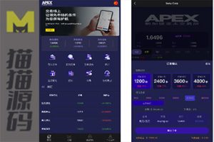 多语言外汇微盘微交易所源码/单控点控+代理分销+阿里云k线数据