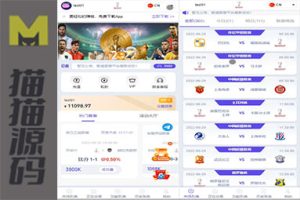 JAVA体育反波胆代码，足球世界杯体育赛事平台，体育竞技游戏系统代码