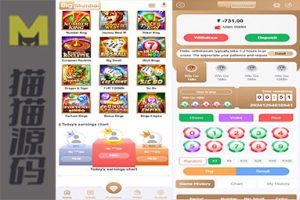 基于Node.js开发的海外菠菜系统K3+5D/WINGO程序