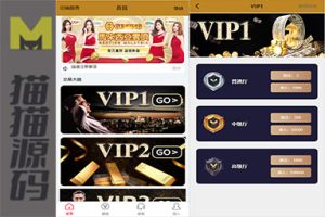 海外多语言PC28系统/28竞猜源代码/批量设置开奖/VIP房间