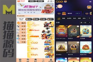 综合娱乐盘、美盛API、电子，真人，棋牌，体育，彩票，电竞游戏，3语言，在线游戏网站