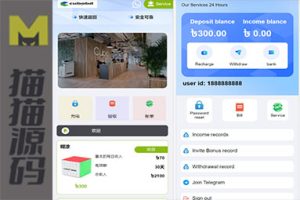 海外Magic投资理财USDT系统的源代码